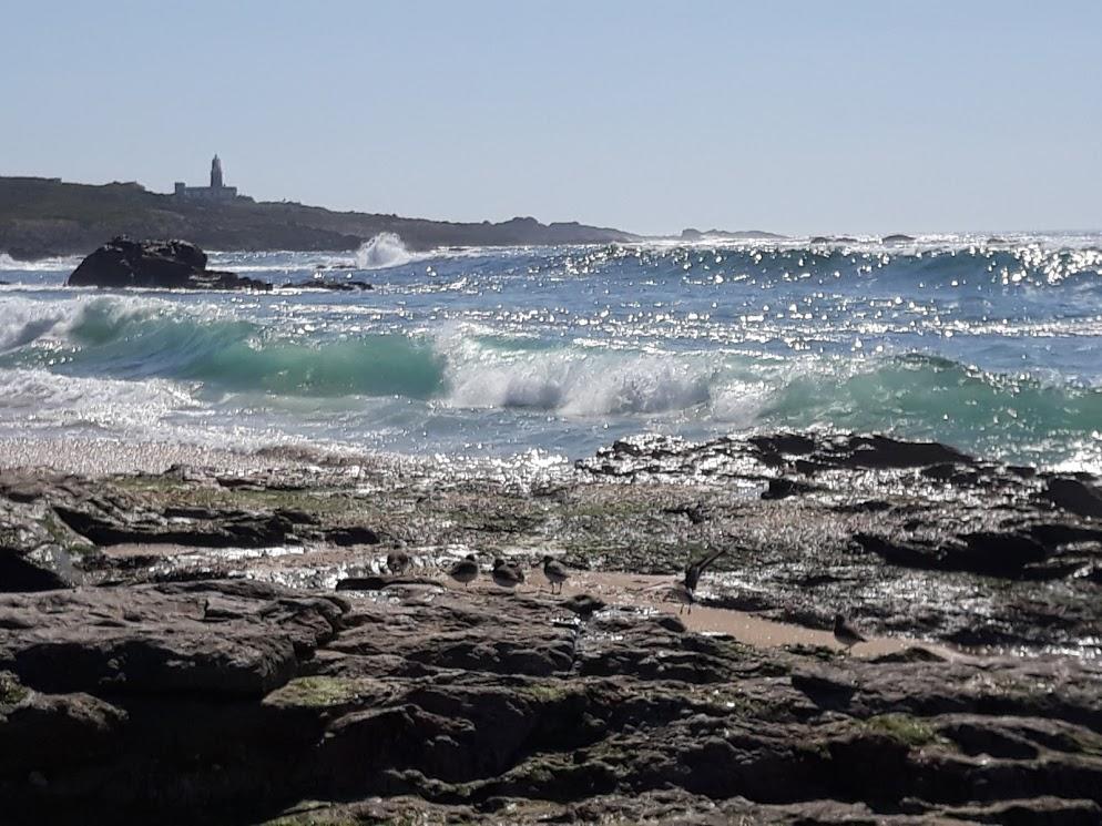 Hostal Balieiros Corrubedo Exterior photo